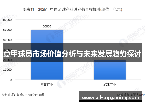 意甲球员市场价值分析与未来发展趋势探讨