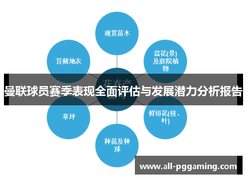 曼联球员赛季表现全面评估与发展潜力分析报告