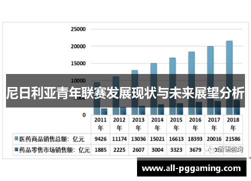 尼日利亚青年联赛发展现状与未来展望分析