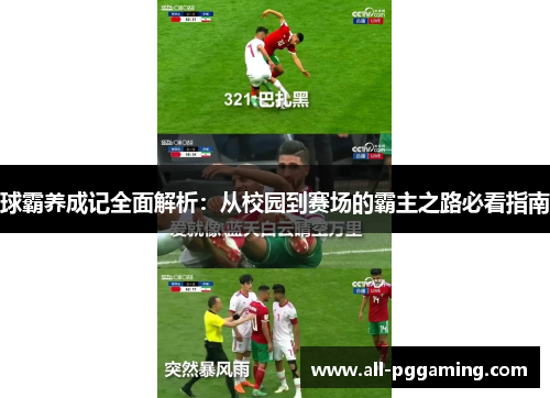 球霸养成记全面解析：从校园到赛场的霸主之路必看指南