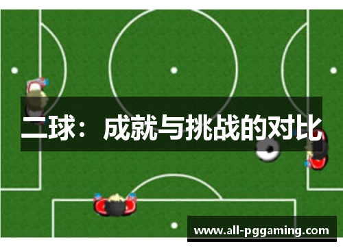 二球：成就与挑战的对比