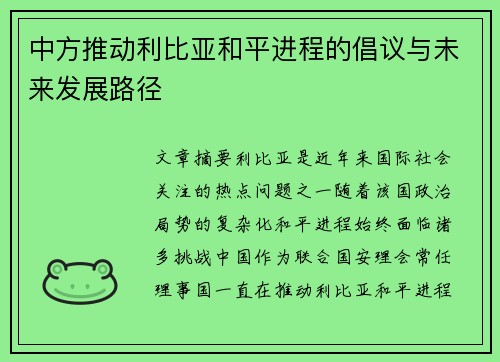 中方推动利比亚和平进程的倡议与未来发展路径