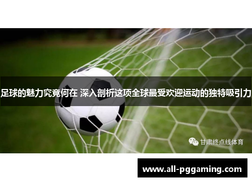 足球的魅力究竟何在 深入剖析这项全球最受欢迎运动的独特吸引力