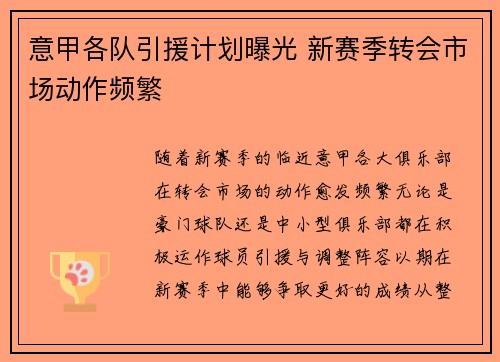 意甲各队引援计划曝光 新赛季转会市场动作频繁